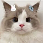 Beatriz Soto avatar